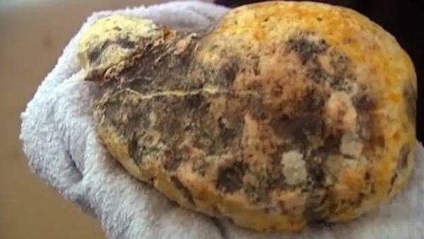 एम्बरग्रीस के होते हैं कई इस्तेमाल