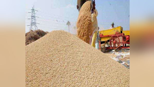 Govt bought wheat in Haryana at Rs 1975/quintal MSP, 8493145 tonnes were procured from April 1 to May 15