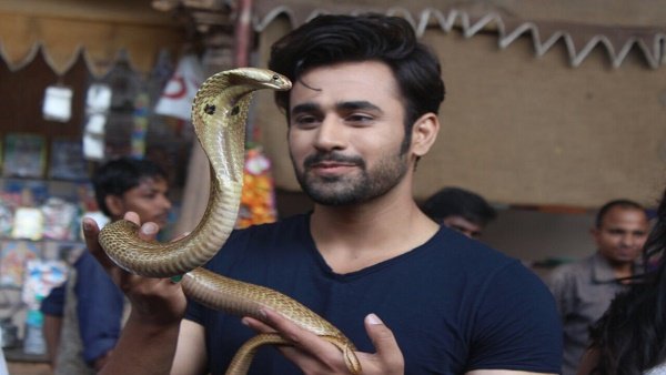 ये सितारे समर्थन में