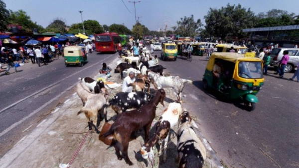 पांच लाख रुपए लग चुकी है कीमत