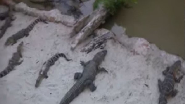 पुलिस ने फेसबुक पर शेयर की फोटो