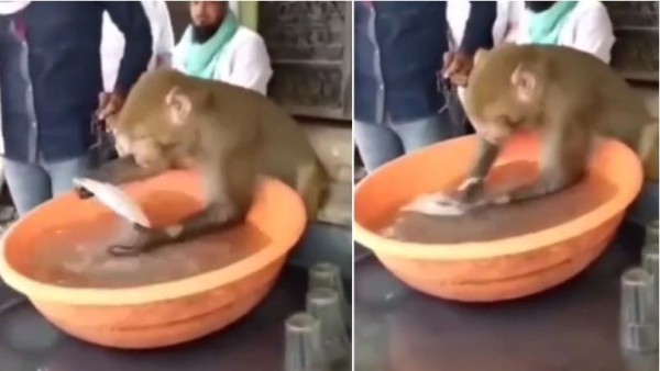 थोड़ा फ्लैशबैक से शुरू करते हैं