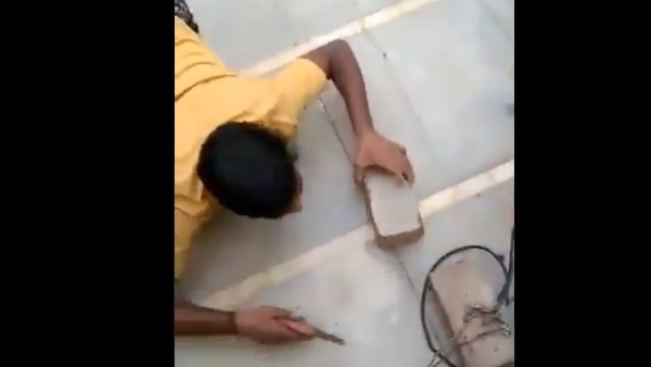 छिपकली की तरह चलकर आया शख्स छिपकली की तरह चलकर आया शख्स