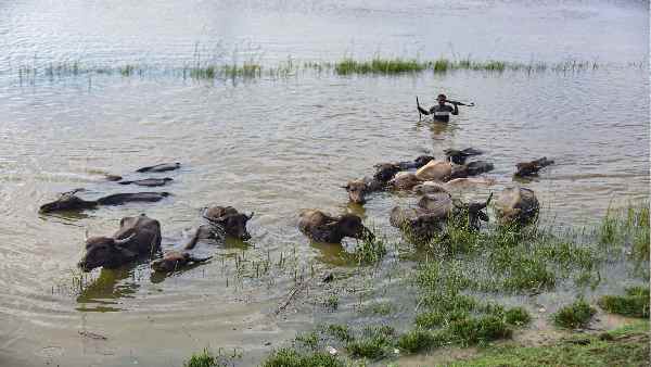 विधेयक के किन प्रावधानों पर हो रहा है विवाद ? विधेयक के किन प्रावधानों पर हो रहा है विवाद ?