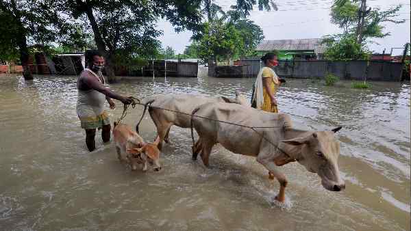 मवेशियों के परिवहन पर विधेयक में क्या है ? मवेशियों के परिवहन पर विधेयक में क्या है ?
