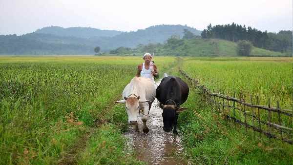 कानून के उल्लंधन करने वालों पर क्या कार्रवाई होगी ? कानून के उल्लंधन करने वालों पर क्या कार्रवाई होगी ?
