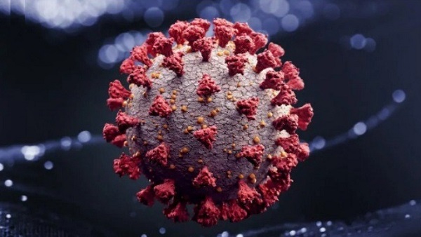 coronavirus coronavirus