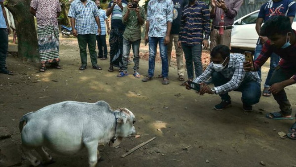 तीन दिन में 15000 लोग आए रानी से मिलने