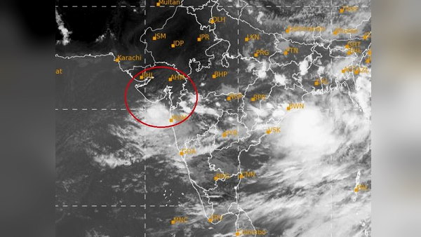 Heavy rainfall in Gujarat, 10 dams of Saurashtra overflow, cattle submerged in river