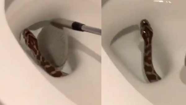 पड़ोसी की सनक का शिकार हुआ वृद्ध