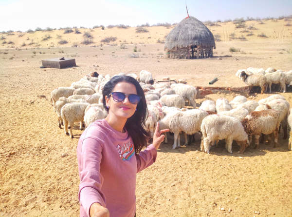  डॉ. दीपा शर्मा जयपुर की जीवनी