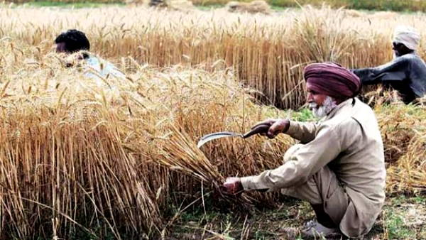 farmers