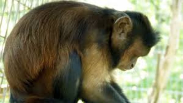 वीडियो पर धड़ाधड़ आ रहे कमेंट