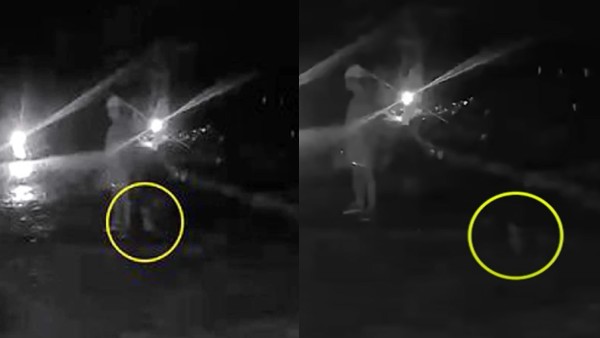 बाहर आकर देखा वीडियो