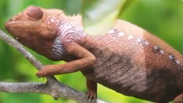 फुल स्क्रीन में देखने पर आएगा और मजा फुल स्क्रीन में देखने पर आएगा और मजा