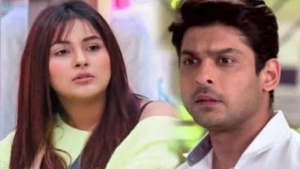 कौन हैं शहनाज गिल 