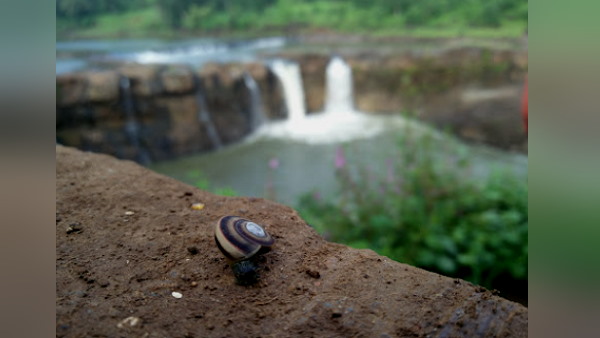 लोगों को झरने के नीचे जाने की मनाही