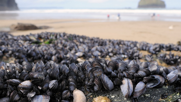 वैज्ञानिक ने बताई परेशान करने वाली बात