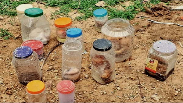 Human embryos found in plastic bottles on the road Sidhpur, north Gujarat