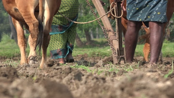 पढ़ने में भी किसी से कम नहीं बेटियां पढ़ने में भी किसी से कम नहीं बेटियां