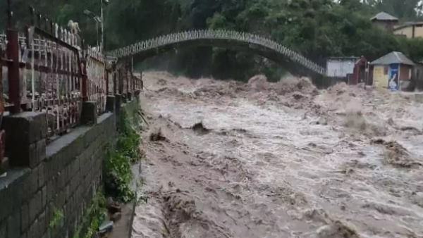 अपनी जान दांव पर लगाकर बचाई दूसरों की जिंदगी अपनी जान दांव पर लगाकर बचाई दूसरों की जिंदगी