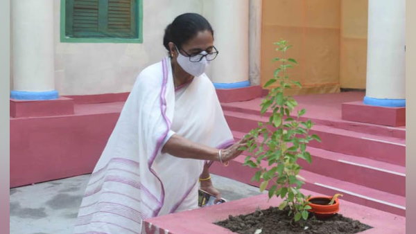 कितनी है ममता बनर्जी की सालाना इनकम कितनी है ममता बनर्जी की सालाना इनकम