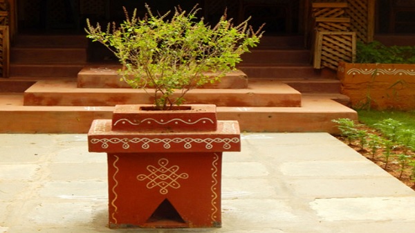 यहां पढे़ं तुलसी चालीसा, जानें महत्व और लाभ