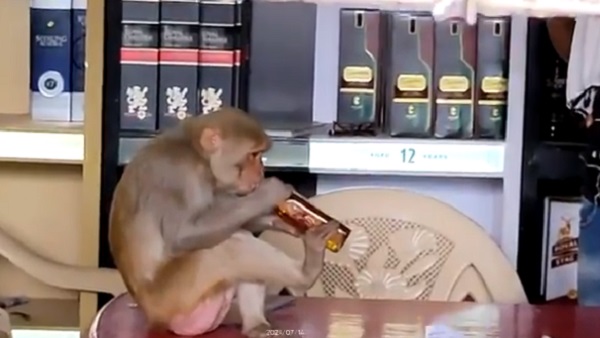 दुकानदार ने दिया बिस्किट लेकिन वो पीने में लगा रहा दुकानदार ने दिया बिस्किट लेकिन वो पीने में लगा रहा