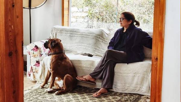 मई में रिलीज हुई थी 'सच कहूं तो' 