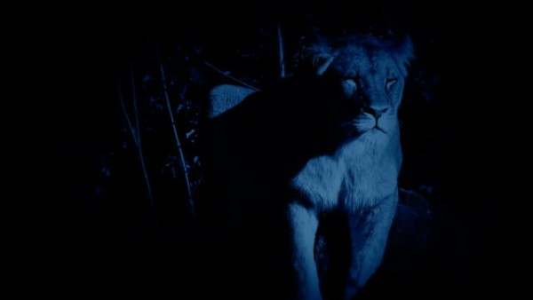 चतुराई से नहीं भगवान ने बचाई जान