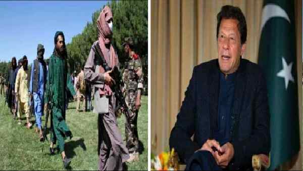 तालिबान के बारे में इमरान खान की झूठ का पर्दाफाश