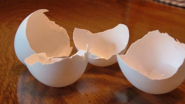 दोष साबित होने पर 7 साल तक की हो सकती है सजा दोष साबित होने पर 7 साल तक की हो सकती है सजा