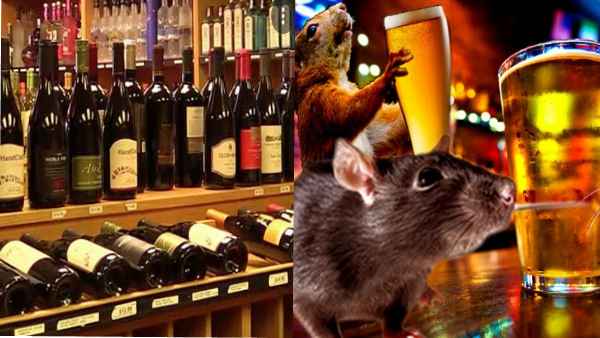 प्रशासन पर ग्रामीणों ने लगाए आरोप