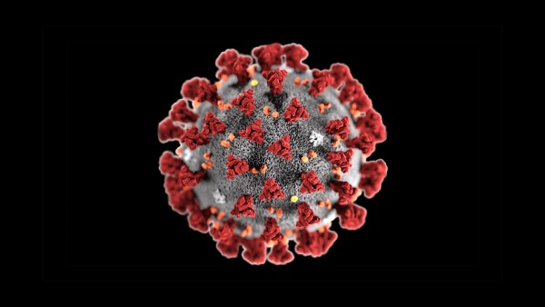 coronavirus coronavirus