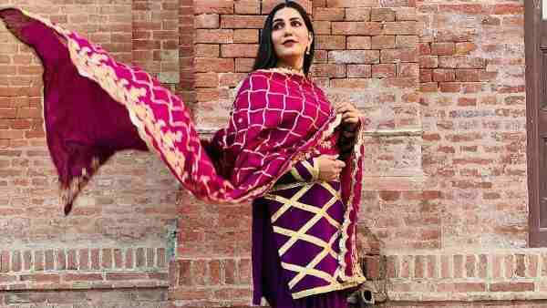 सपना ने किया अपने 13 सालों का सफर का जिक्र