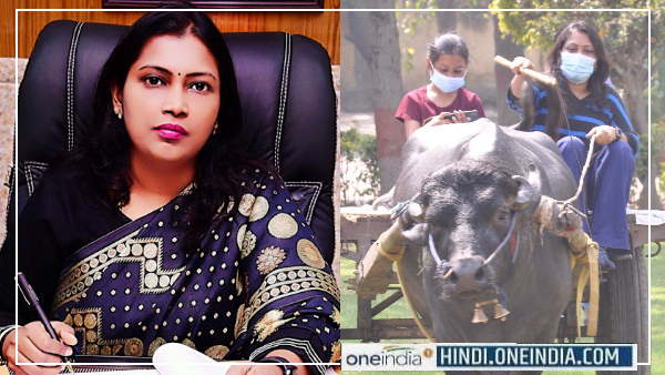 2006 बैच की आईएएस अधिकारी हैं सेल्वा कुमारी जे