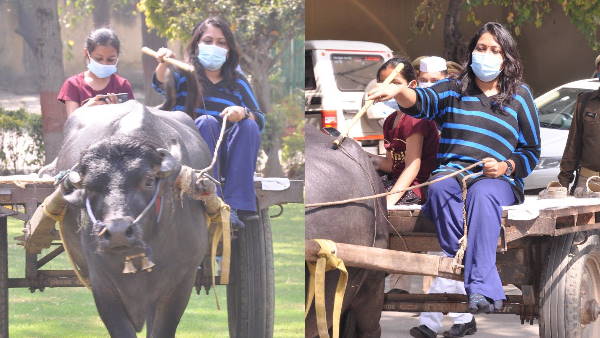 भैंसा बुग्गी चलाकर चर्चा में आईं सेल्वा कुमारी जे