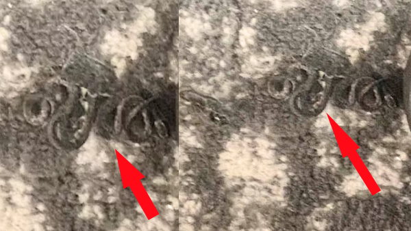 बेडरूम में सोने जा रही थी महिला, फर्श पर कुछ रेंगता दिखा