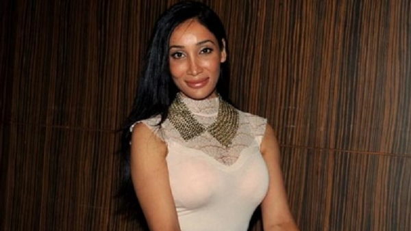 हयात ने कहा, पोर्नोग्राफी एक महिला के अधिकारों का उल्लंघन