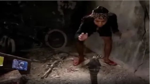 नंगे हाथों से पकड़ा महिला ने सांप