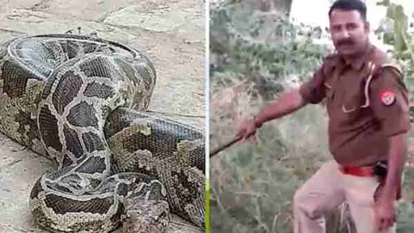 सांप, बिच्छु पकड़ने में माहिर है सुशील मिश्रा