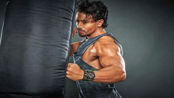 इन फिल्मों में भी टाइगर ने किया है काम