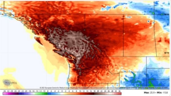 कनाडा और अमेरिका में क्या हुआ है कनाडा और अमेरिका में क्या हुआ है