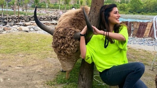 इमरान खान से प्रेरित हैं महविश