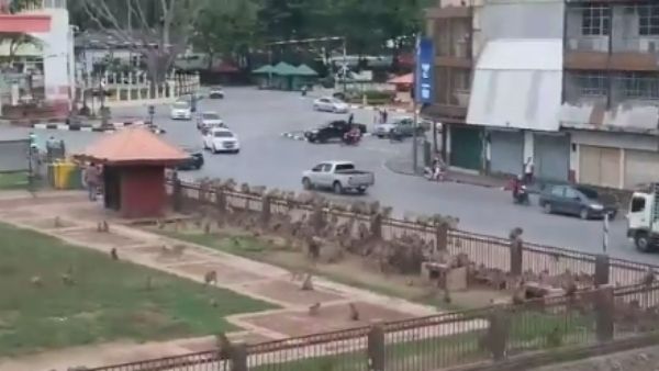 सड़क पर आमना-सामना