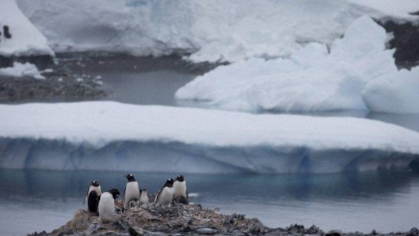 क्यों है खतरा?