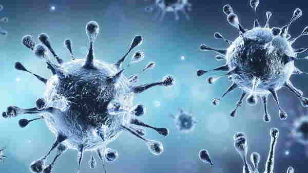 according to crs report more than two lakh fifty thousand people died due to coronavirus according to crs report more than two lakh fifty thousand people died due to coronavirus