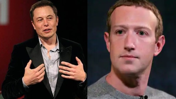 एलन ने दिया ऑफर?