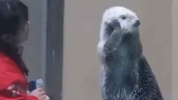 वीडियो पर जमकर आ रहे कमेंट