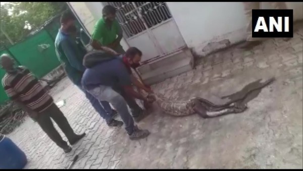 यूजर्स की प्रतिक्रियाएं शानदार यूजर्स की प्रतिक्रियाएं शानदार